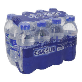 CACTUS MINERAL WATER 350MLX12